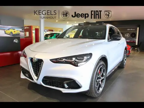 Used ALFA ROMEO STELVIO Petrol 2023 Ad 