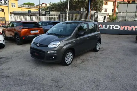 Used FIAT PANDA Petrol 2020 Ad 