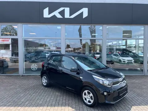 Annonce KIA PICANTO Essence 2024 d'occasion 