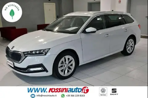 Annonce SKODA OCTAVIA Diesel 2021 d'occasion 