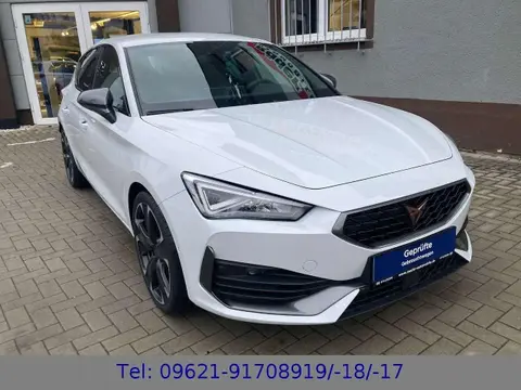 Used CUPRA LEON Petrol 2024 Ad 