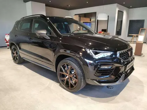 Annonce CUPRA ATECA Essence 2023 d'occasion 