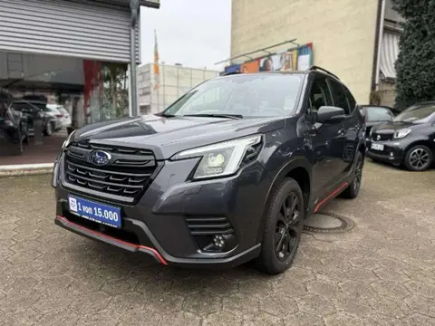 Annonce SUBARU FORESTER Hybride 2024 d'occasion 