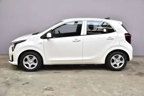 Annonce KIA PICANTO Essence 2024 d'occasion 