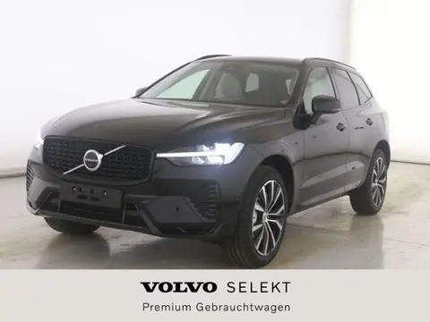 Annonce VOLVO XC60 Diesel 2023 d'occasion 