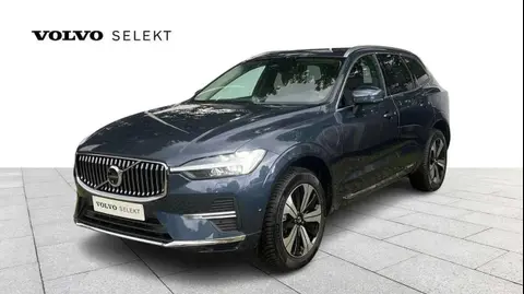 Used VOLVO XC60 Hybrid 2024 Ad 