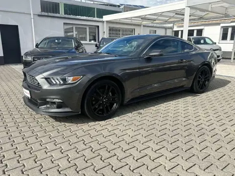 Annonce FORD MUSTANG Essence 2019 d'occasion 