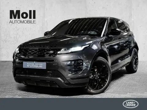 Used LAND ROVER RANGE ROVER EVOQUE Hybrid 2024 Ad 