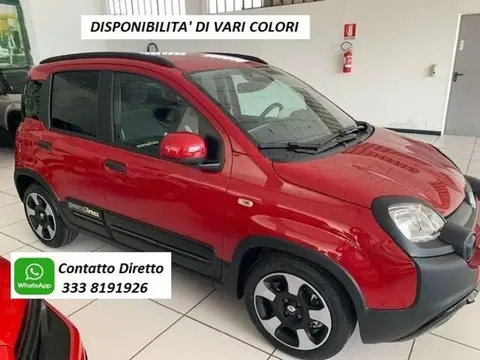 Annonce FIAT PANDA Hybride 2024 d'occasion 