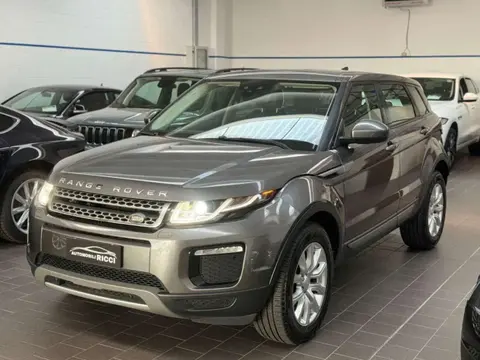 Annonce LAND ROVER RANGE ROVER EVOQUE Diesel 2018 d'occasion 