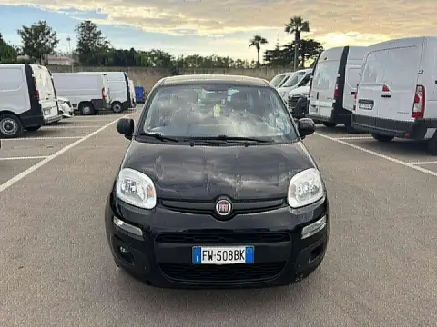 Annonce FIAT PANDA Essence 2019 d'occasion 