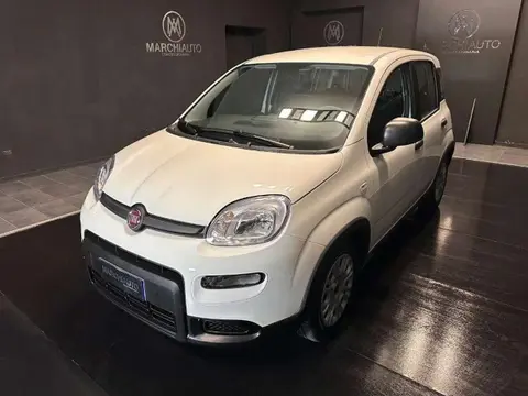 Annonce FIAT PANDA Hybride 2024 d'occasion 