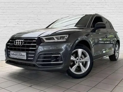 Used AUDI Q5 Hybrid 2019 Ad Germany