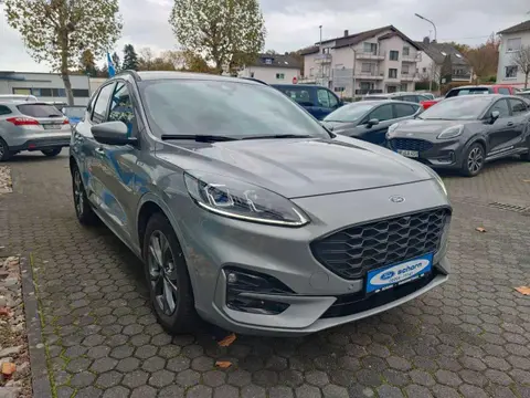 Annonce FORD KUGA Hybride 2022 d'occasion 