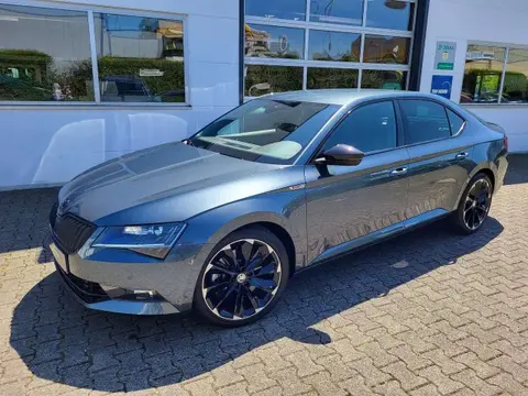 Used SKODA SUPERB Petrol 2019 Ad 