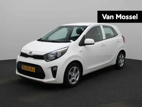 Annonce KIA PICANTO Essence 2019 d'occasion 