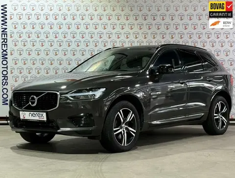 Annonce VOLVO XC60 Hybride 2020 d'occasion 