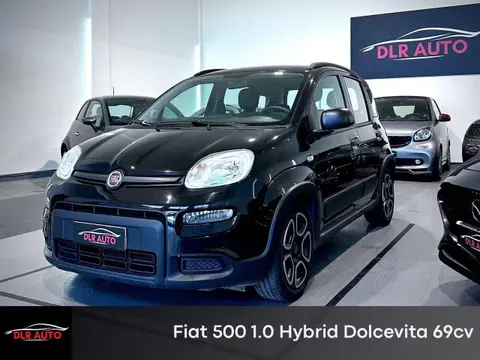 Annonce FIAT PANDA Hybride 2021 d'occasion 