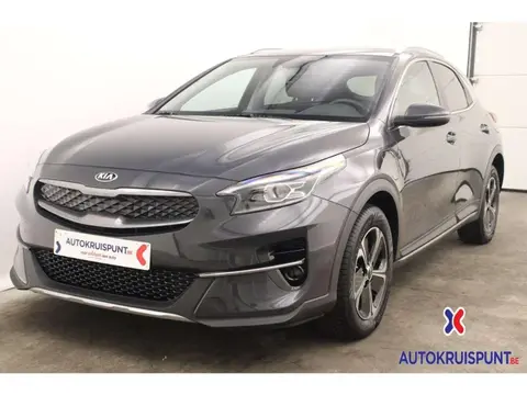 Used KIA XCEED Hybrid 2021 Ad 