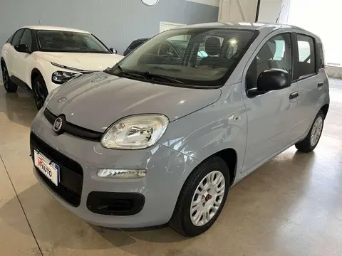 Used FIAT PANDA Petrol 2018 Ad 