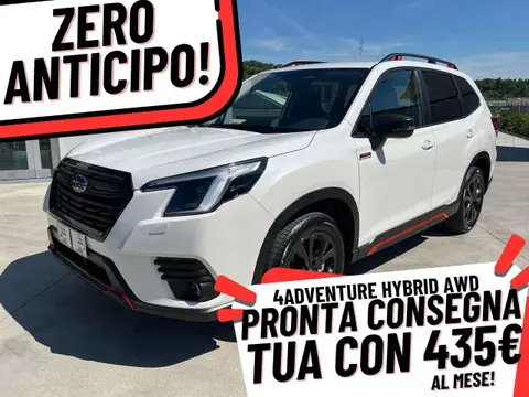 Annonce SUBARU FORESTER Hybride 2024 d'occasion 