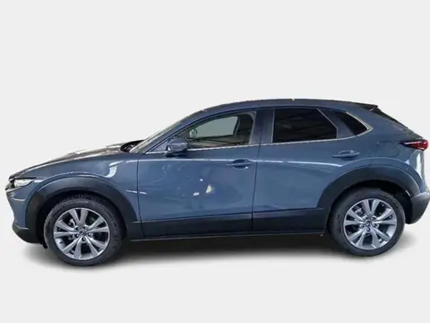 Used MAZDA CX-30 Hybrid 2023 Ad 