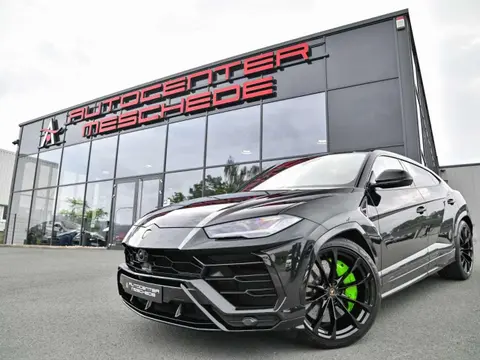 Used LAMBORGHINI URUS Petrol 2021 Ad 