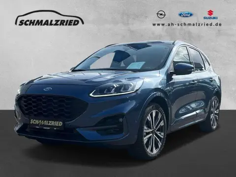 Annonce FORD KUGA Hybride 2024 d'occasion 