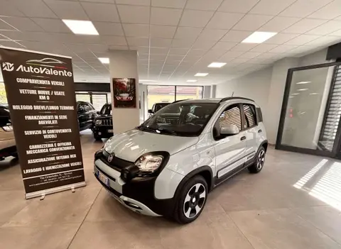 Used FIAT PANDA Hybrid 2020 Ad 