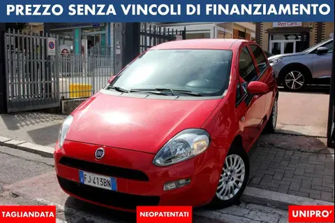 Annonce FIAT PUNTO Essence 2017 d'occasion 