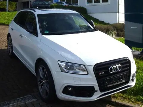 Annonce AUDI SQ5 Diesel 2016 d'occasion 