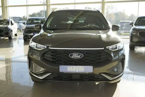 Annonce FORD KUGA Hybride 2024 d'occasion 