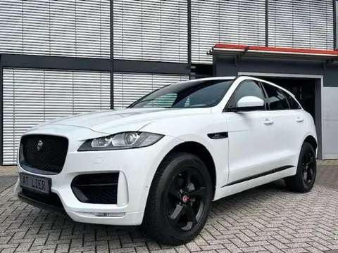 Used JAGUAR F-PACE Diesel 2020 Ad 