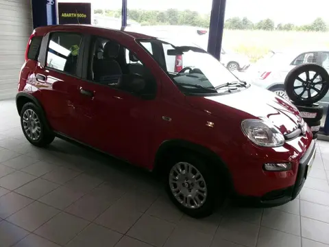 Used FIAT PANDA Petrol 2024 Ad 