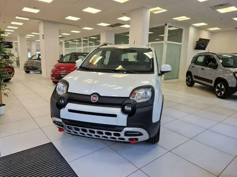 Used FIAT PANDA Hybrid 2023 Ad 