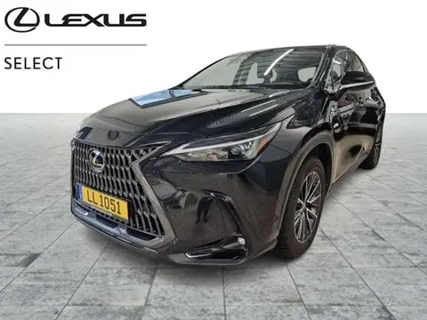 Used LEXUS NX  2023 Ad 