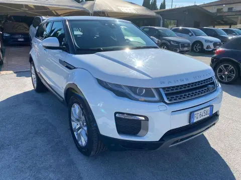 Used LAND ROVER RANGE ROVER EVOQUE Diesel 2017 Ad 