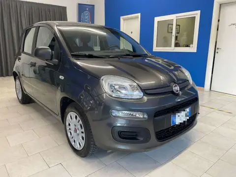 Annonce FIAT PANDA Essence 2018 d'occasion 