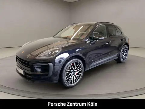 Used PORSCHE MACAN Petrol 2023 Ad 