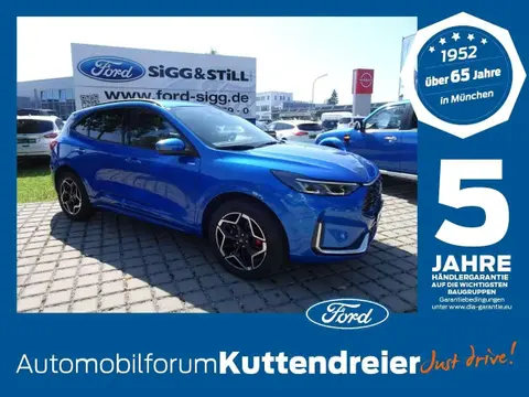 Annonce FORD KUGA Hybride 2024 d'occasion 