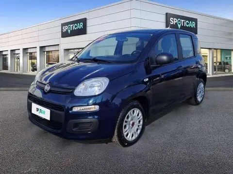 Annonce FIAT PANDA Essence 2021 d'occasion 