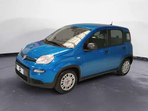 Used FIAT PANDA Hybrid 2024 Ad 