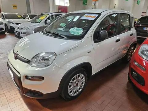 Used FIAT PANDA Hybrid 2022 Ad 