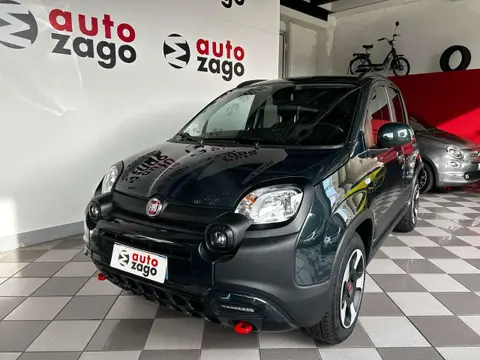 Used FIAT PANDA Hybrid 2024 Ad 