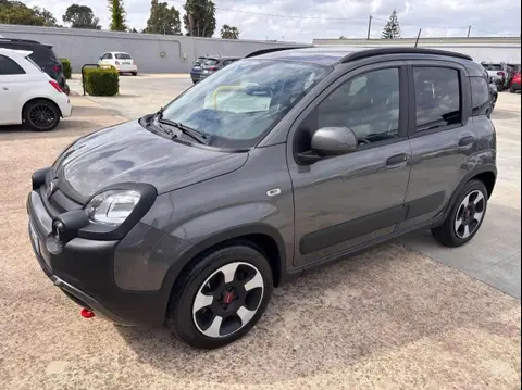 Used FIAT PANDA Hybrid 2023 Ad 