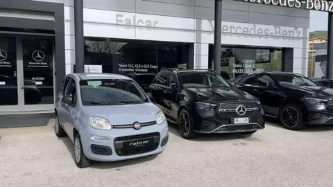 Annonce FIAT PANDA  2019 d'occasion 