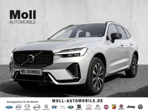 Annonce VOLVO XC60 Diesel 2023 d'occasion Allemagne