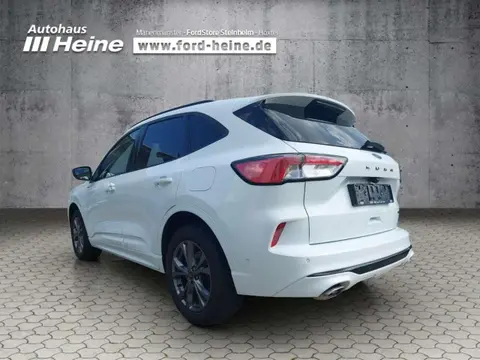 Annonce FORD KUGA Hybride 2022 d'occasion 