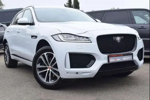 Used JAGUAR F-PACE Diesel 2020 Ad 