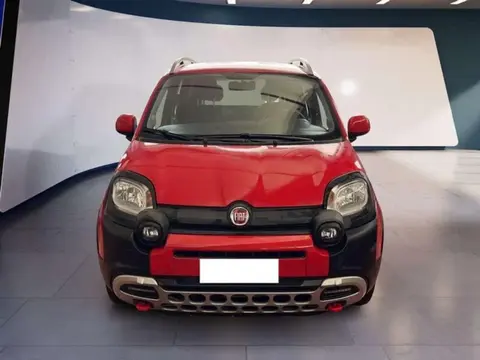 Annonce FIAT PANDA Hybride 2021 d'occasion 